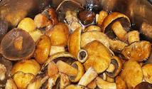 Отварные грибы на зиму в морозилке Можно заморозить грибы